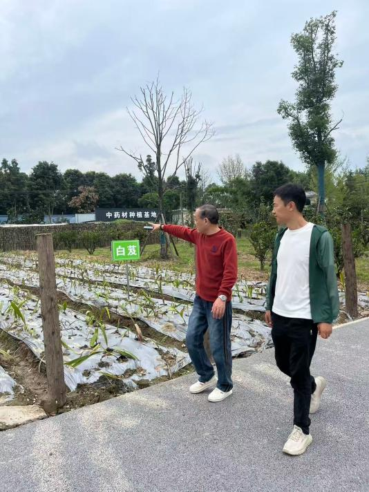 图片 2.png
